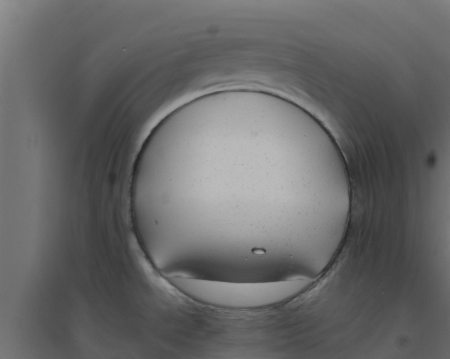 X0000094171534200711241519