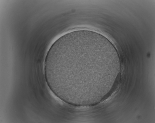 X0000094171535200711241519