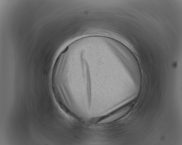 X0000094171536200711241519