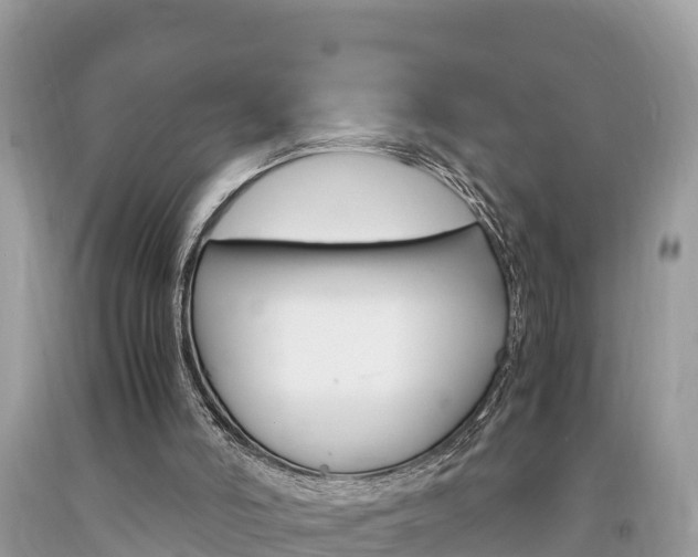 X0000094180006200710260942