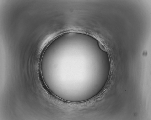 X0000094180007200710260942