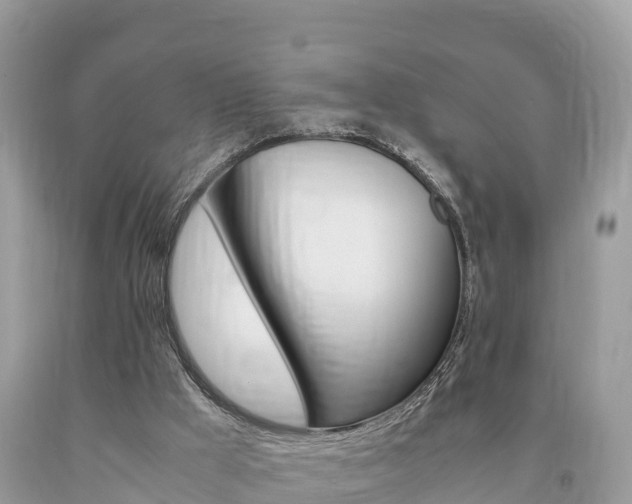 X0000094180009200710260942