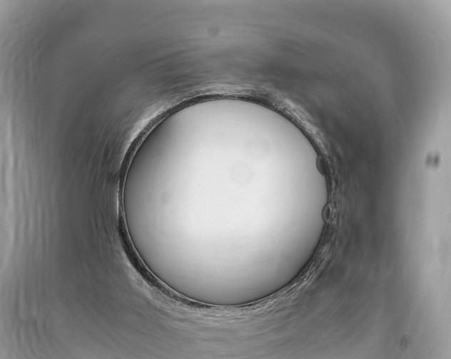 X0000094180011200710260942