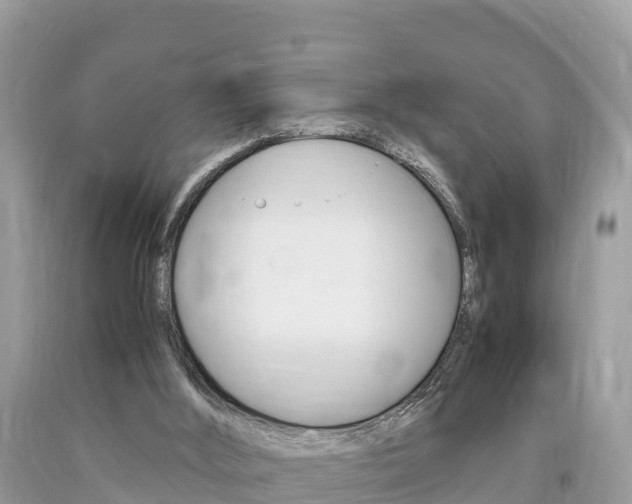 X0000094180012200710260942