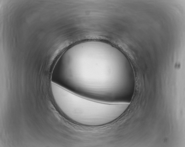 X0000094180015200710260942