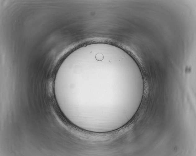 X0000094180016200710260942