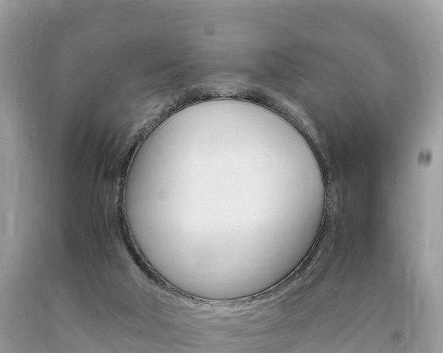 X0000094180018200710260942