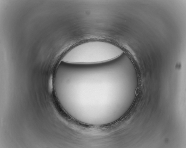 X0000094180020200710260942