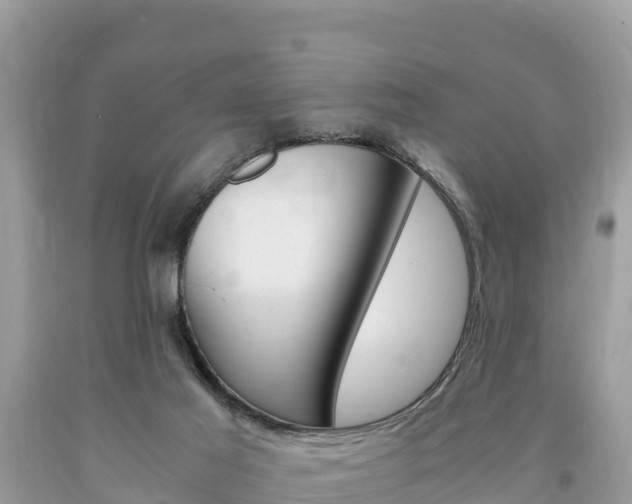 X0000094180021200710260942