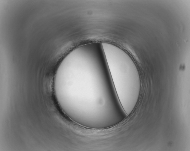X0000094180023200710260942