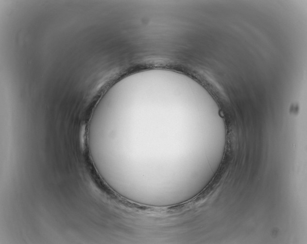 X0000094180024200710260942