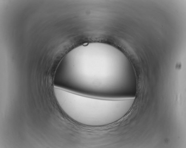 X0000094180025200710260942
