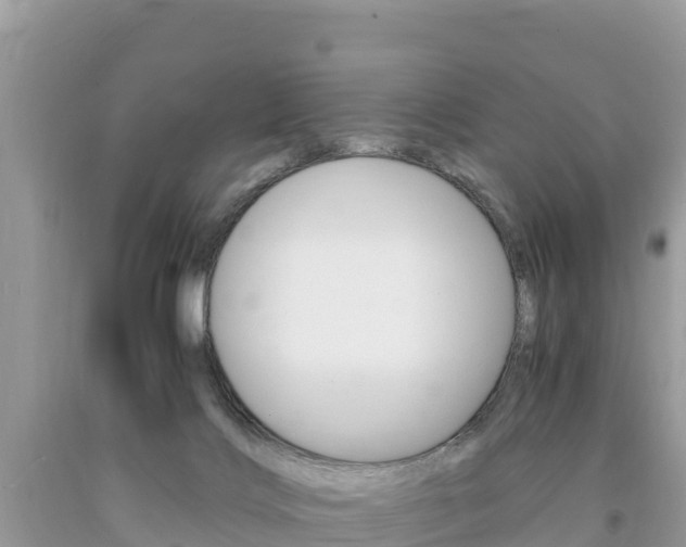 X0000094180028200710260942