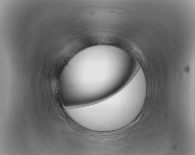 X0000094180029200710260942