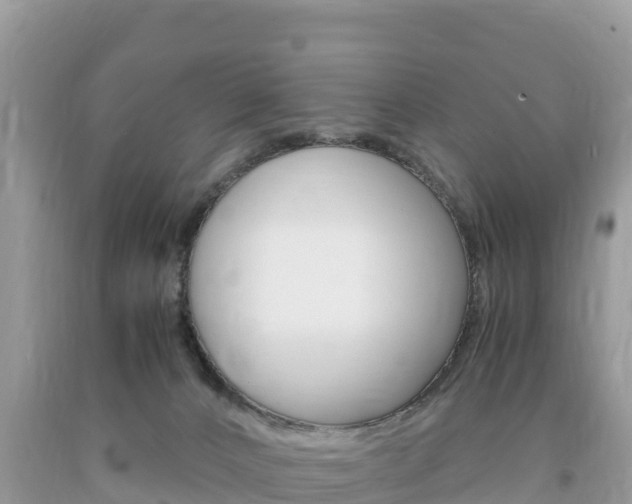 X0000094180032200710260942