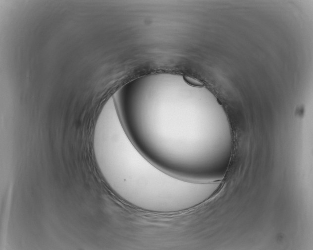 X0000094180033200710260942