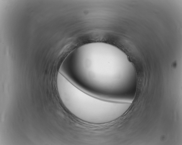 X0000094180035200710260942