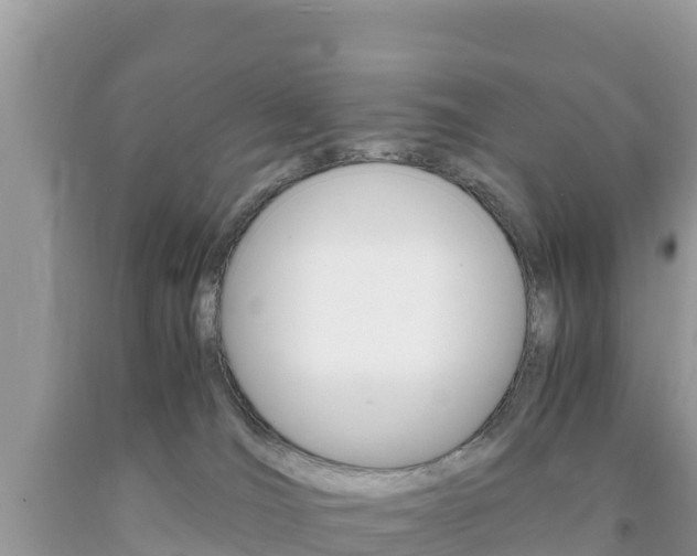 X0000094180036200710260942