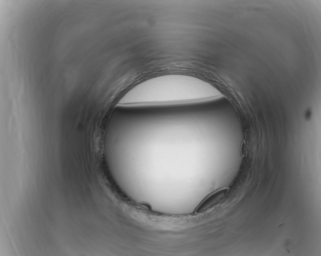 X0000094180044200710260942