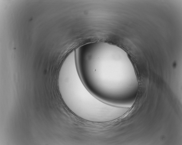 X0000094180045200710260942