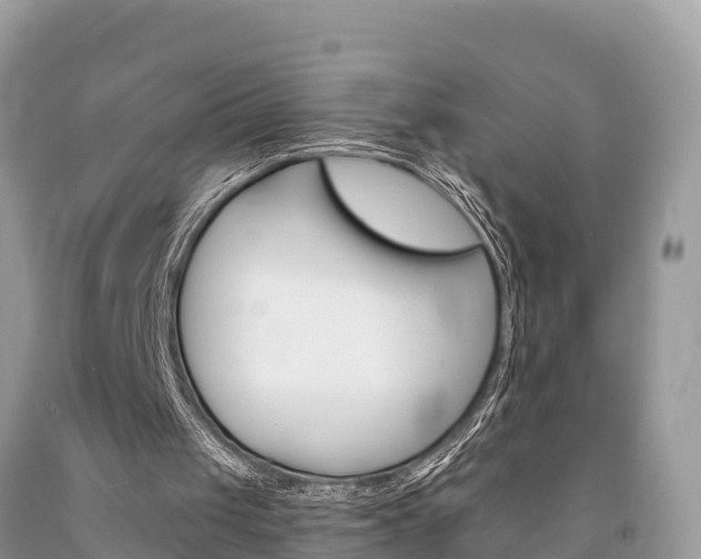 X0000094180049200710260941