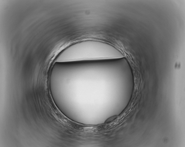 X0000094180050200710260941
