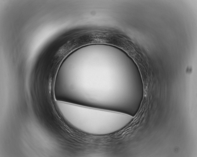 X0000094180052200710260941