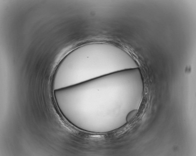 X0000094180053200710260941