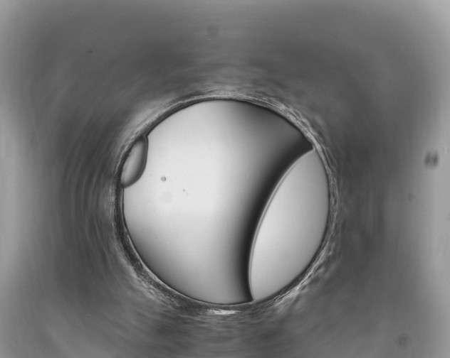 X0000094180055200710260941