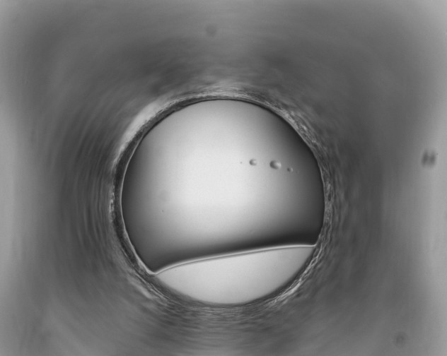 X0000094180056200710260941