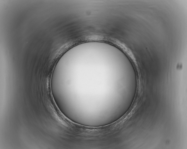 X0000094180057200710260941