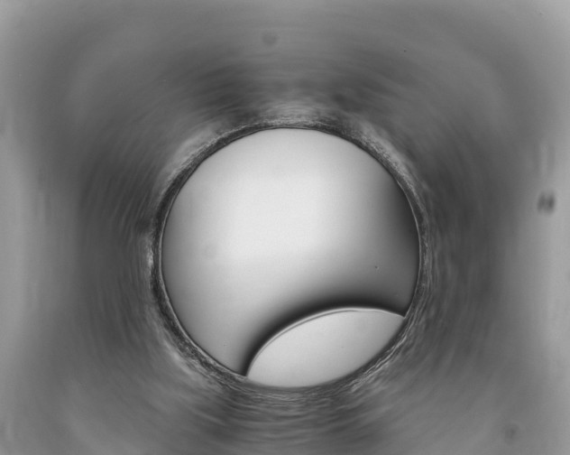 X0000094180059200710260941