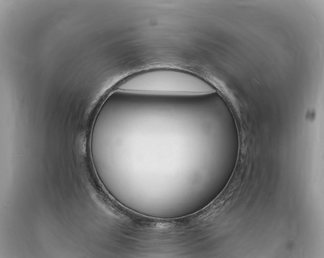X0000094180060200710260941