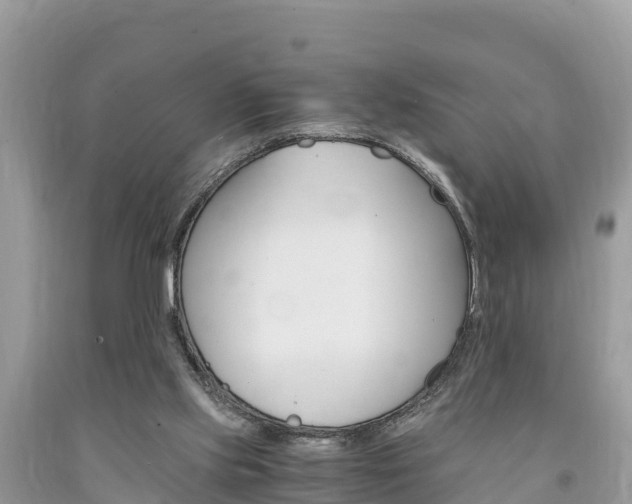 X0000094180061200710260941