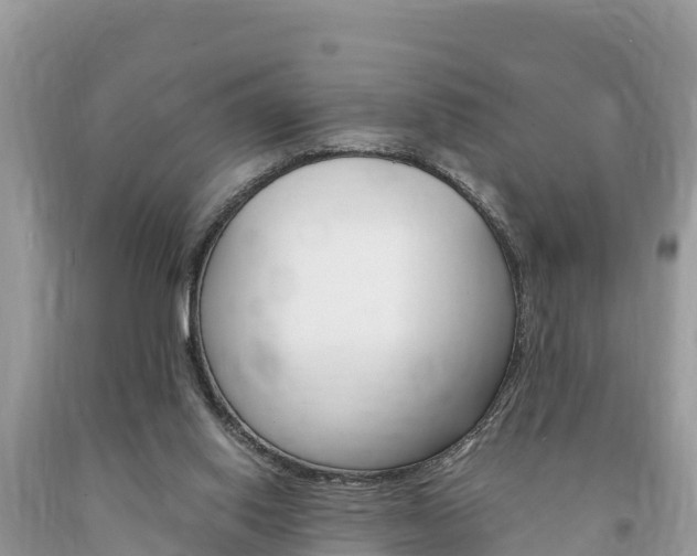 X0000094180062200710260941