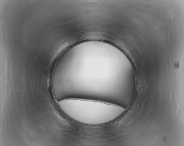 X0000094180063200710260941