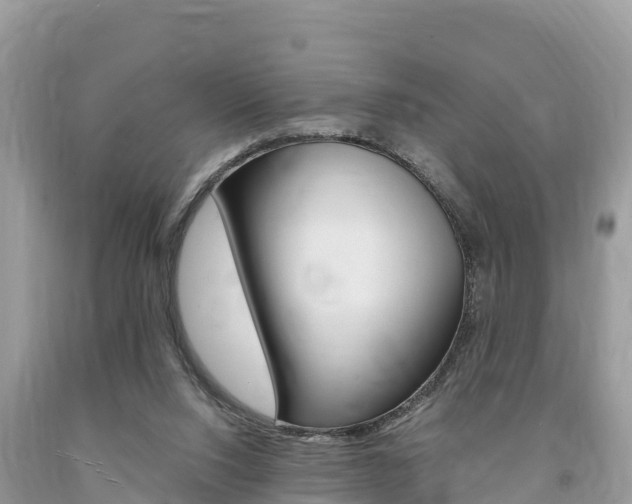 X0000094180064200710260941