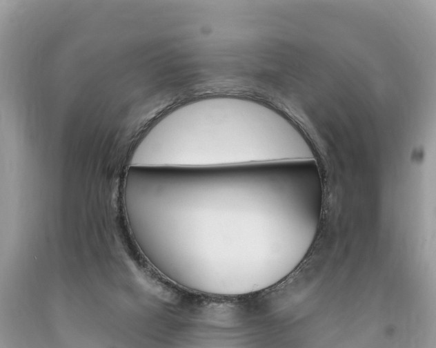 X0000094180066200710260941