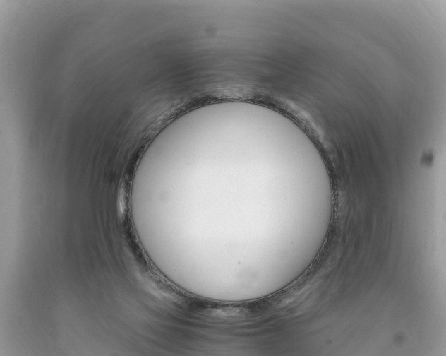 X0000094180069200710260941