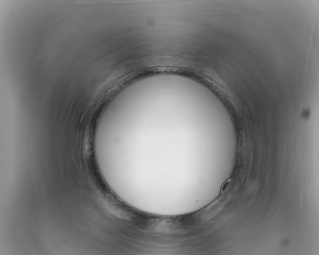 X0000094180074200710260941