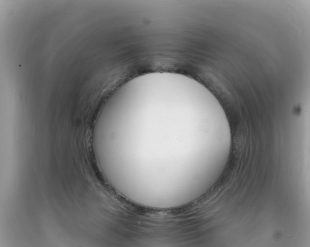 X0000094180079200710260941