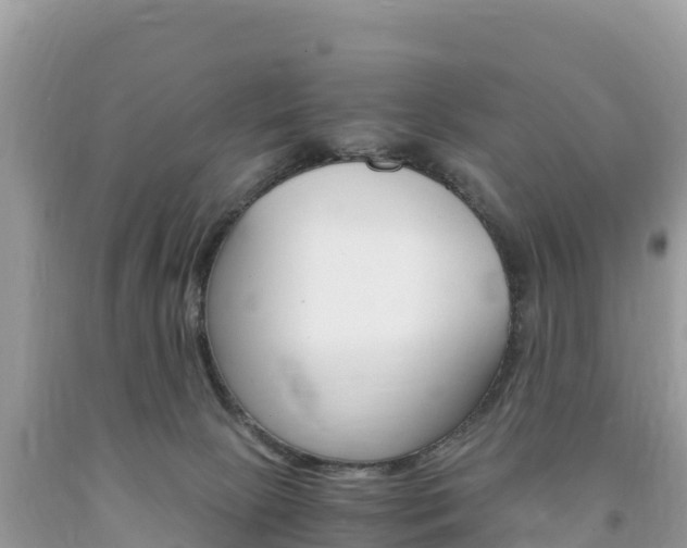 X0000094180081200710260941