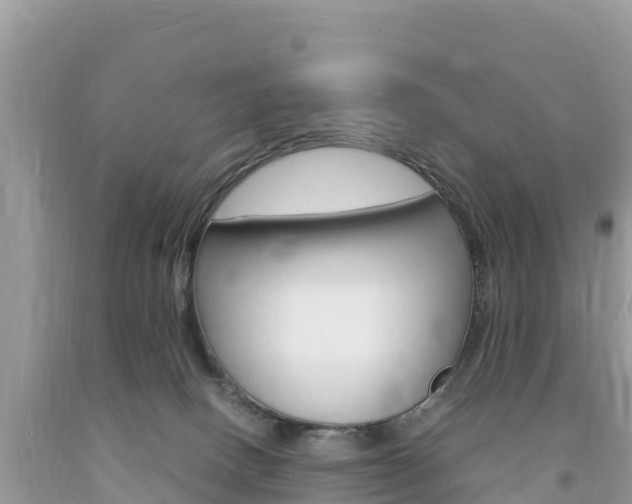X0000094180082200710260941