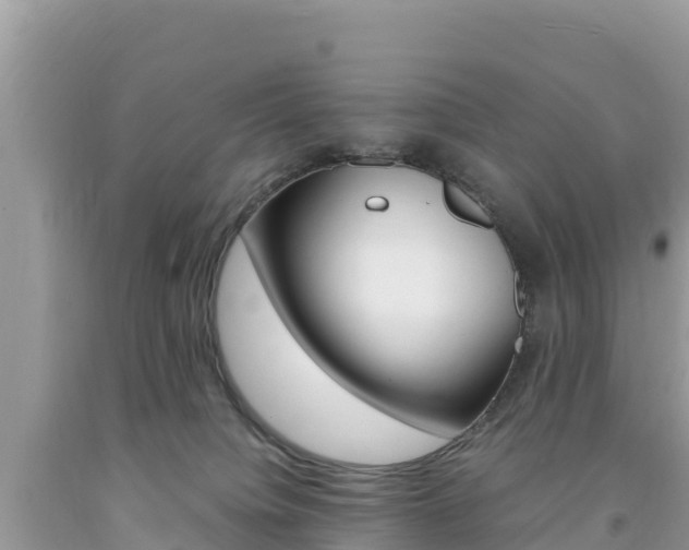 X0000094180084200710260942