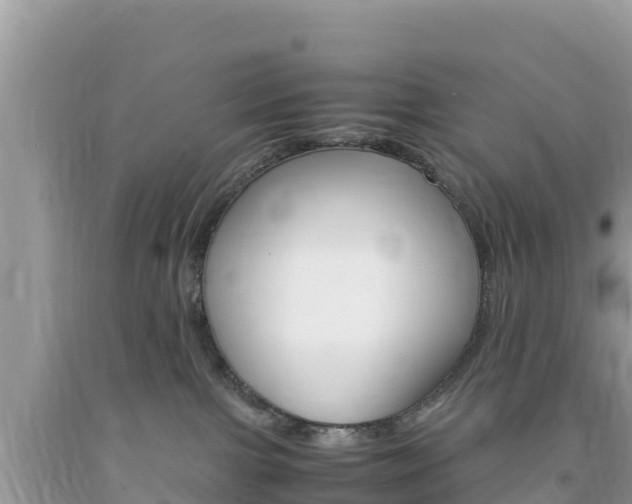 X0000094180091200710260942