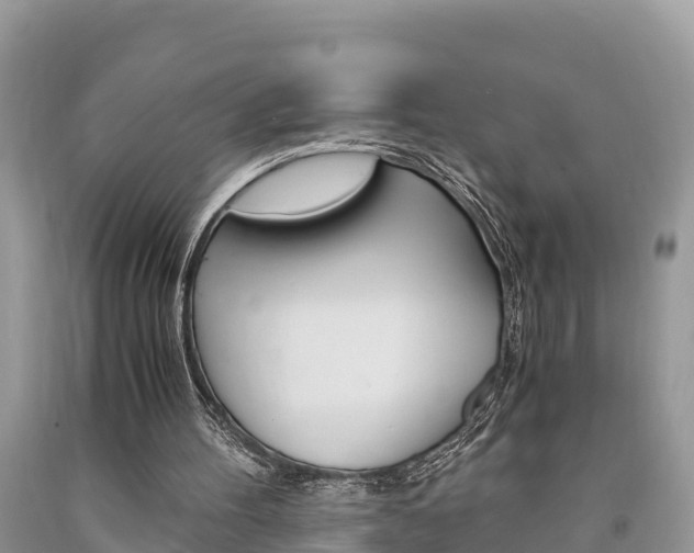 X0000094180100200710260941