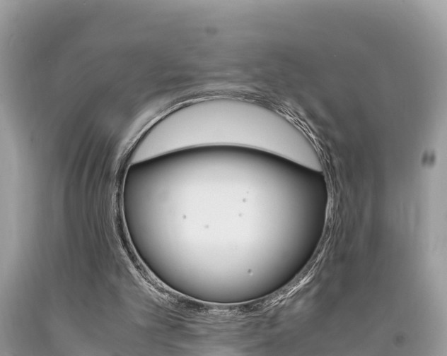 X0000094180101200710260941