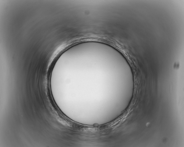 X0000094180102200710260941