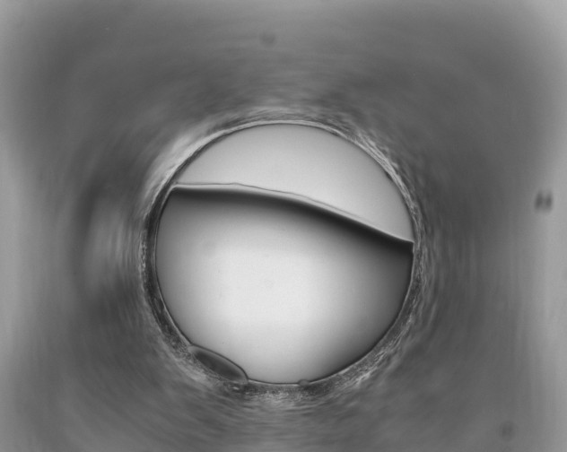 X0000094180103200710260941