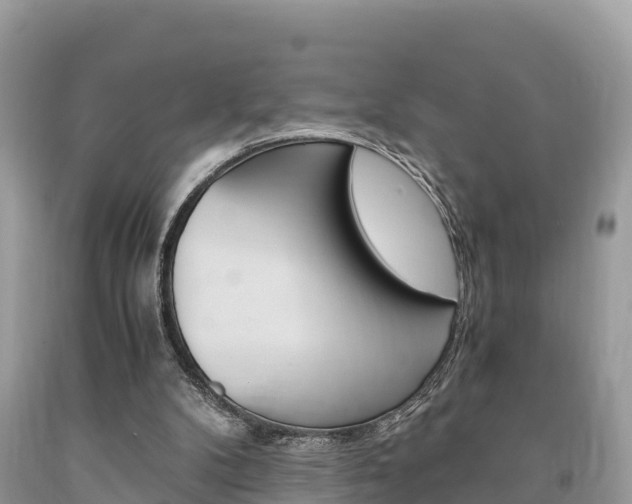 X0000094180104200710260941